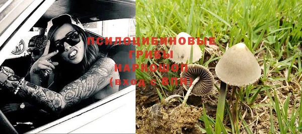 дурь Горнозаводск