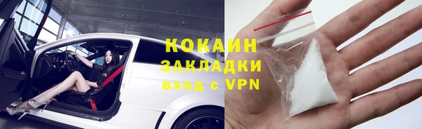 гашик Вяземский