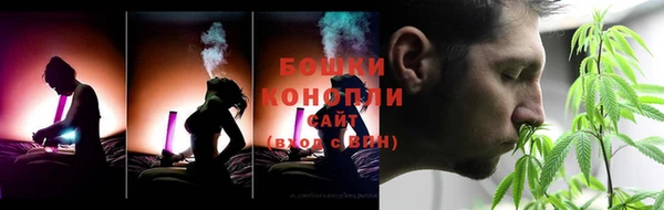 сатива Горно-Алтайск