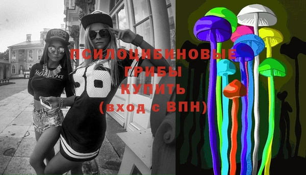 сатива Горно-Алтайск