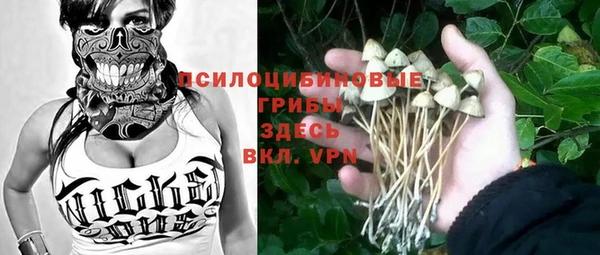 дурь Горнозаводск