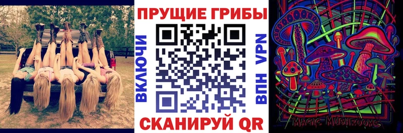 Галлюциногенные грибы прущие грибы  Купить закладки  Клинцы 